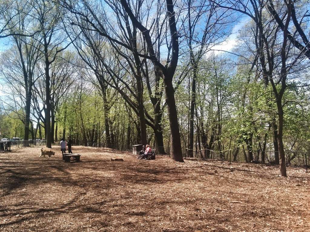 Fort Washington Park Dog Run | Fort Washington Park, 899 Riverside Dr, New York, NY 10032, USA | Phone: (212) 639-9675