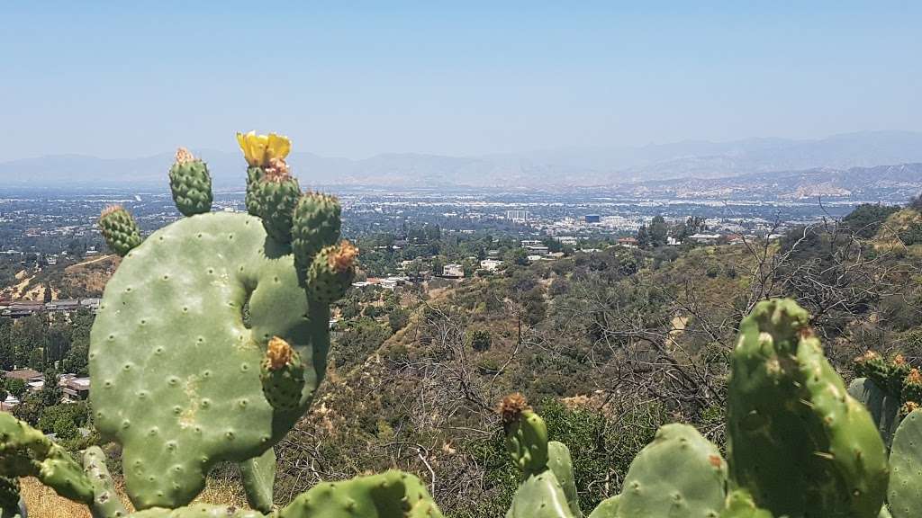 Nancy Hoover Pohl Overlook at Fryman Canyon | 8401 Mulholland Dr, Los Angeles, CA 90046, USA | Phone: (310) 858-7272