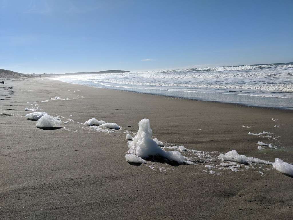 Bodega Dunes Beach | Salmon Creek, Jenner, CA 95450