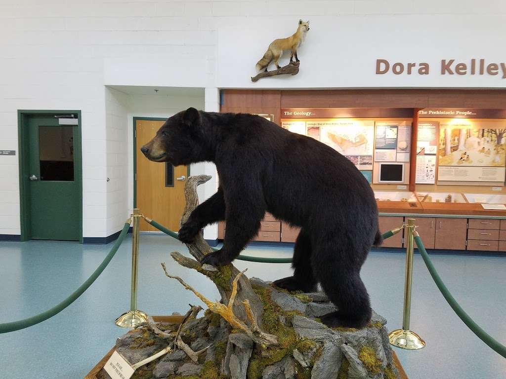 Dora Kelley Nature Park | 5750 Sanger Ave, Alexandria, VA 22311, USA | Phone: (703) 746-4343