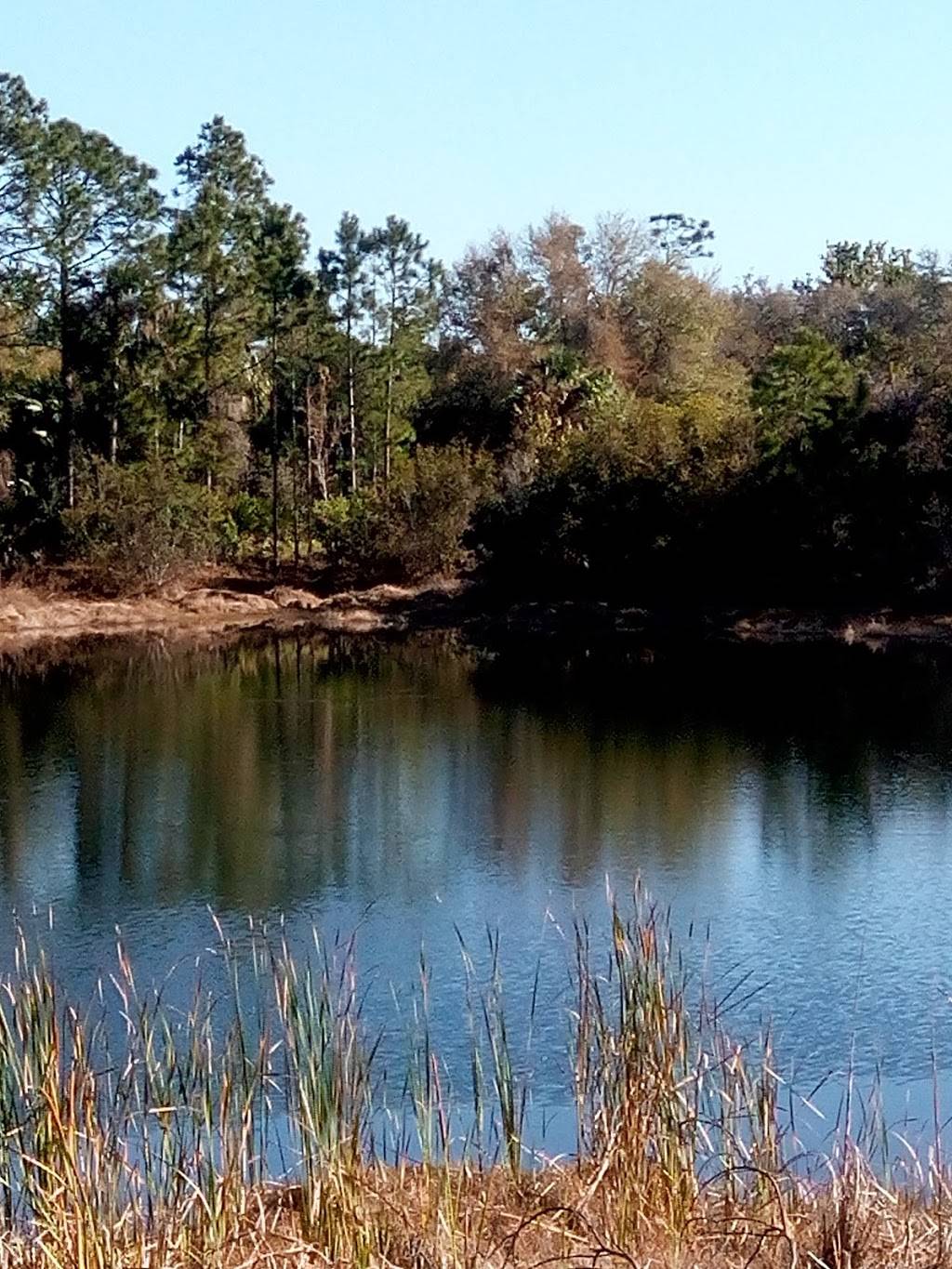 WildPedia | 44 Wyndmoor Pl, Gwynn Oak, MD 21207, USA | Phone: (443) 813-4181