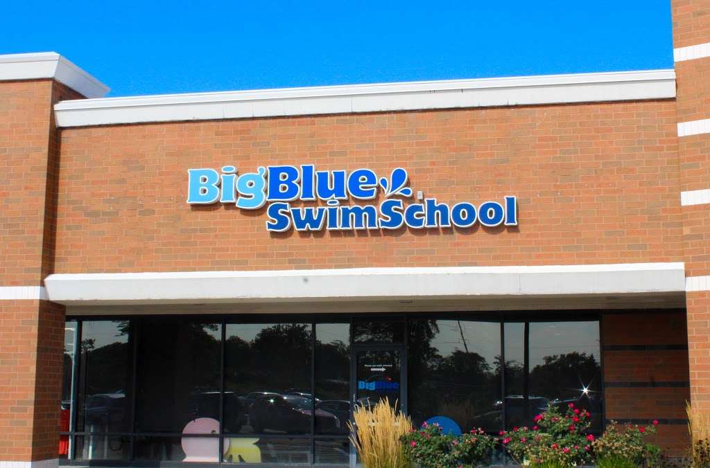 Big Blue Swim School - Wilmette | Photo 10 of 10 | Address: 3232 Lake Ave, Wilmette, IL 60091, USA | Phone: (847) 729-7665