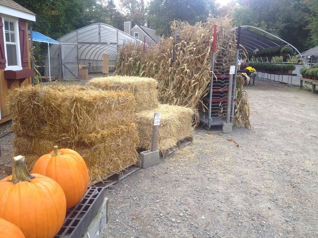 Celtic Farms & Nursery and Sheds | 1451 Strawberry Rd, Shrub Oak, NY 10588, USA | Phone: (914) 526-4437