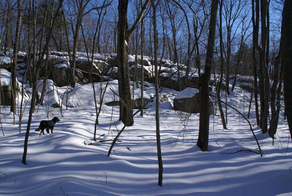 Snake Den State Park Trailhead Parking | 2289 Hartford Ave, Johnston, RI 02919, USA