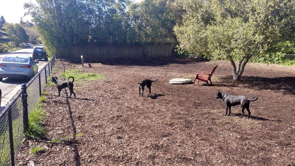 Pacheco Dog Park | Santa Cruz, CA 95065, USA | Phone: (831) 420-5270