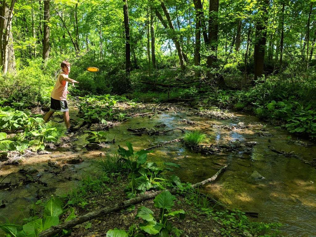 Moore Township Disc Golf Course | Park Side Manor, Bath, PA 18014, USA