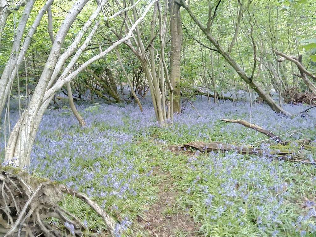 Tilburstow Hill Car Park | Rabies Heath Rd, Godstone RH9 8NP, UK