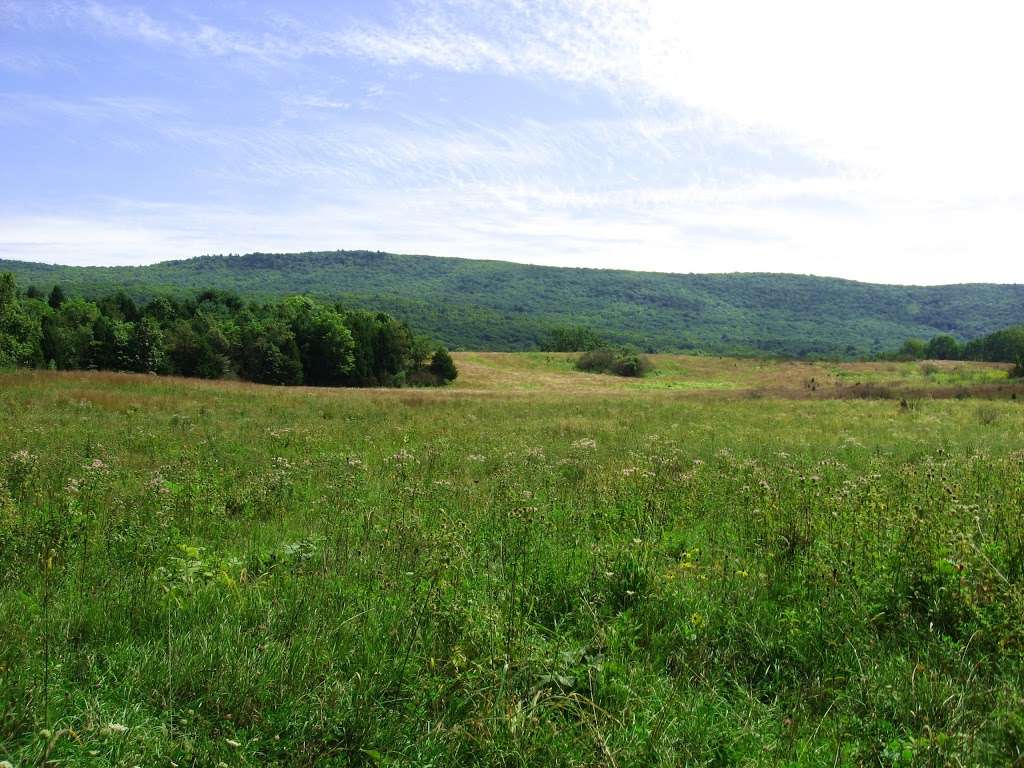 Walpack Fish and Wildlife Management Area | Layton, NJ 07851, USA