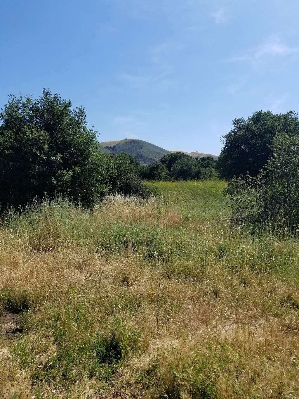 continuation of Coyote creek trail on Coyote ranch road | Coyote Ranch Rd, Coyote, CA 95013, USA