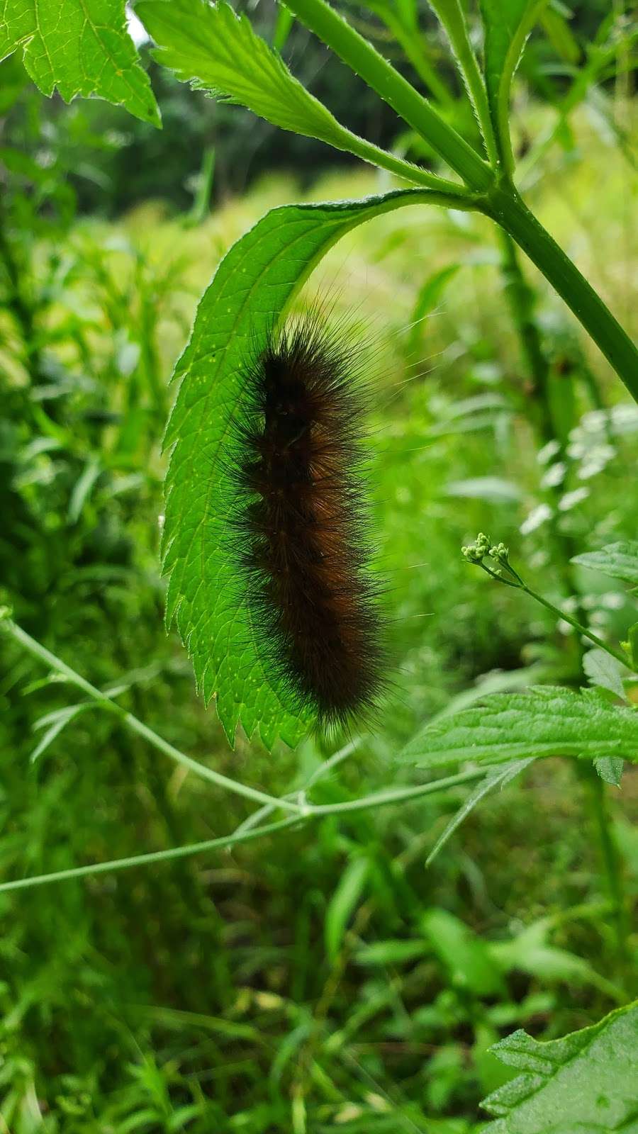 Cut Off Park | 909N FM1518, Schertz, TX 78154, USA | Phone: (210) 619-1850 Cut Off Park | 909N FM1518, Schertz, TX 78154, USA | Phone: (210) 619-1850