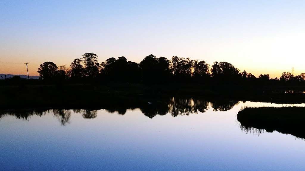 Pacheco Pond | 600-748 Bel Marin Keys Blvd, Novato, CA 94949, USA