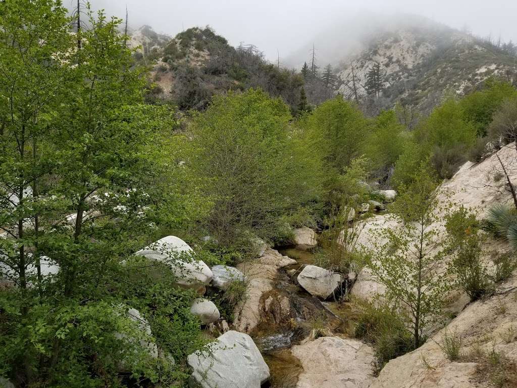 Devils Canyon Trailhead | Angeles Crest Hwy, Palmdale, CA 93550 | Phone: (626) 574-1613