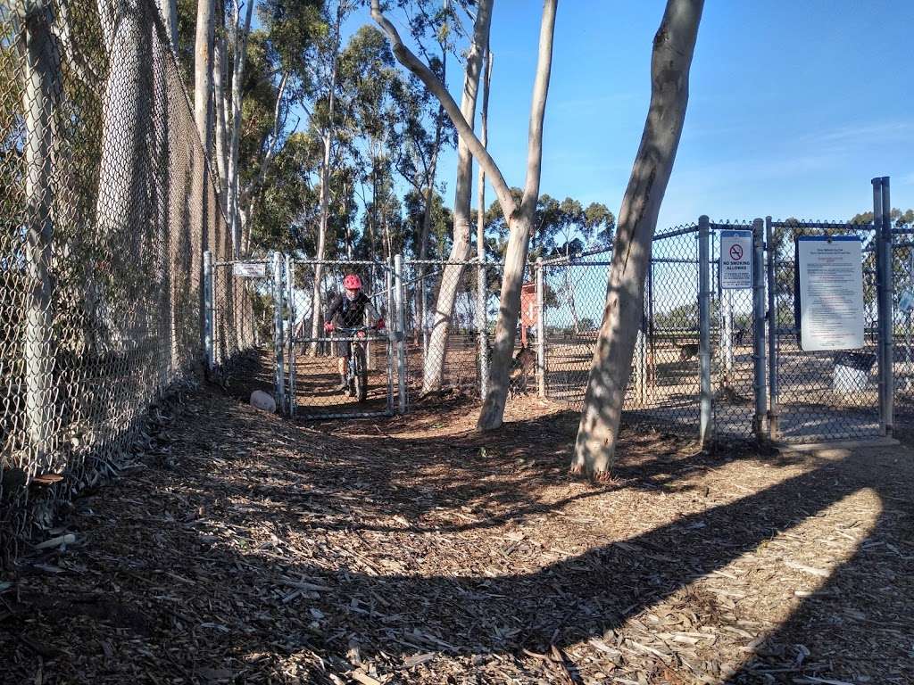 Torrey Pines Dog Park | San Diego, CA 92130