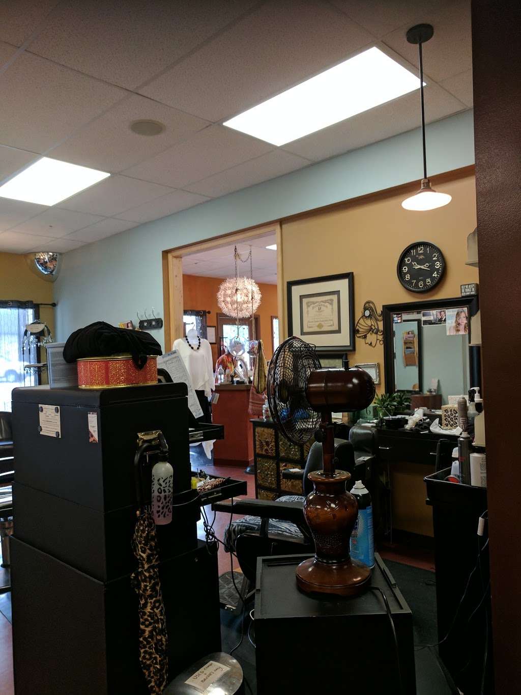 Wild Side Salon | 13300 Watertown Plank Rd, Elm Grove, WI 53122, USA | Phone: (262) 784-9453