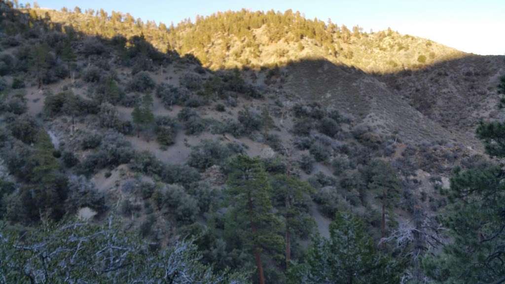 Paiute Canyon Yellow Post Sites | Baldy Rd, Lytle Creek, CA 92358 | Phone: (909) 382-2851