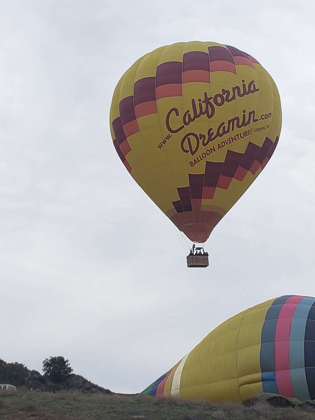 California Dreamin Balloon Adventures - SUNRISE | 33133 Vista Del Monte Rd, Temecula, CA 92591, USA | Phone: (951) 699-0601