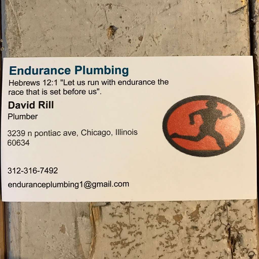 Endurance Plumbing | 3239 Pontiac Ave, Chicago, IL 60634, USA | Phone: (312) 316-7492