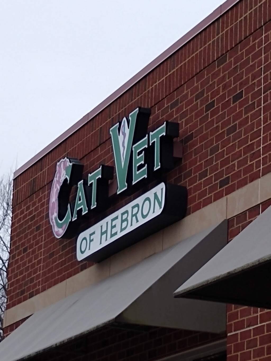 The Cat Vet of Hebron | 2161 N Bend Rd, Hebron, KY 41048, USA | Phone: (859) 431-2287