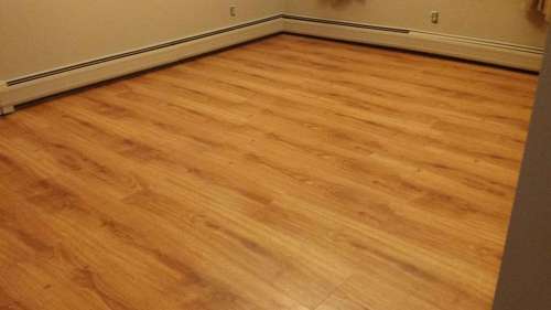 Pro Care Carpet and Floor Cleaning | 5400 Rabbit Foot Rd, East Stroudsburg, PA 18301, USA | Phone: (570) 588-1938