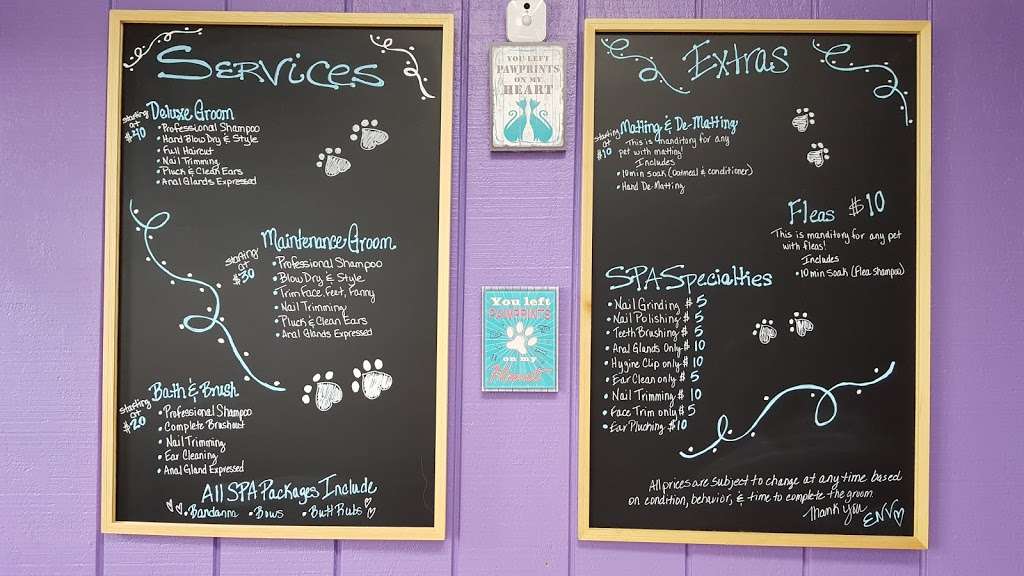 ENV Pet Spa and Grooming | 8824 Bellhaven Blvd, Charlotte, NC 28214 | Phone: (704) 395-9449