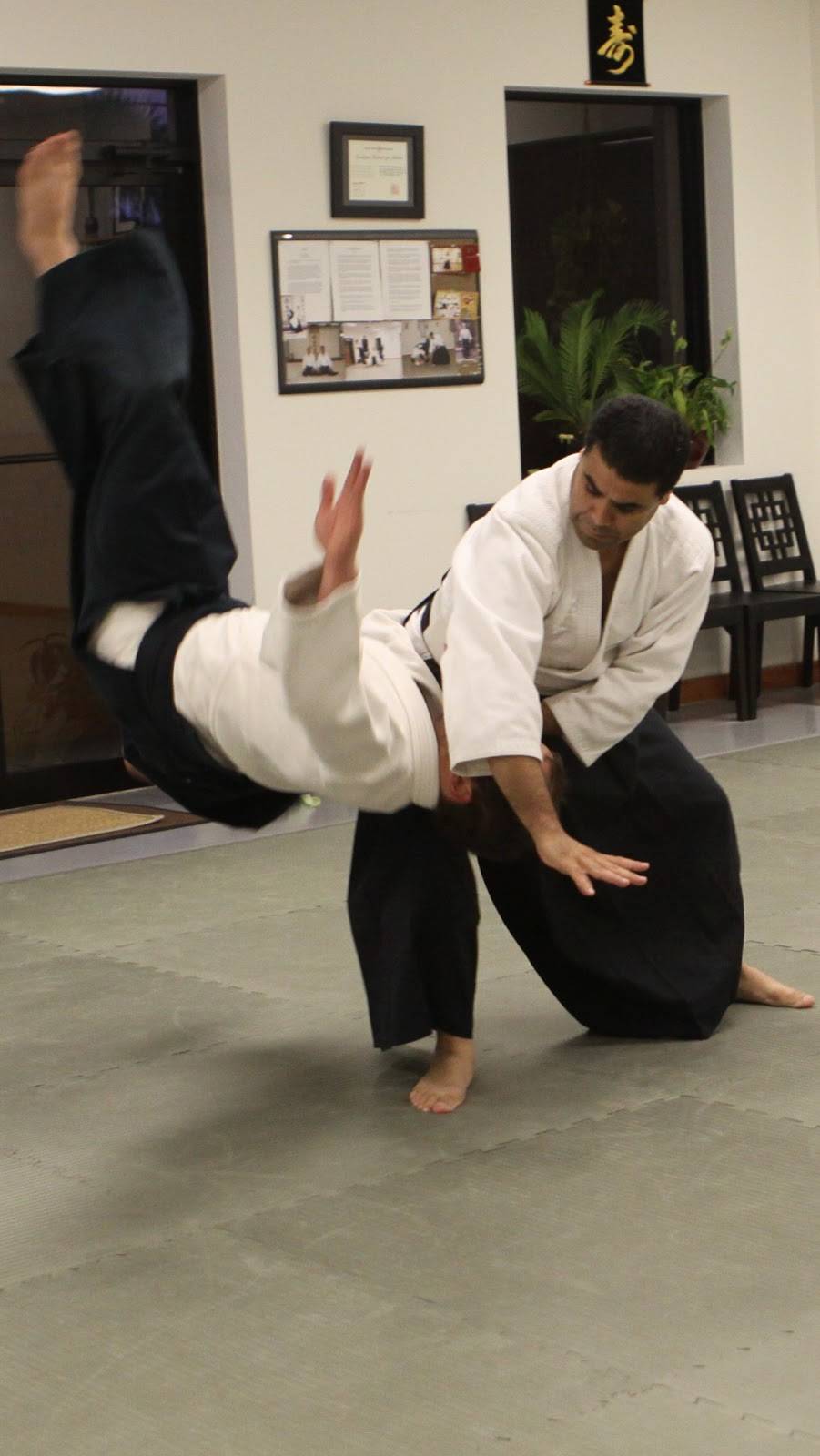 Aikido of Seminole County | 1013 W State Rd 434, Casselberry, FL 32707, USA | Phone: (407) 491-3209