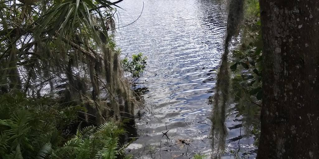 Rhodine Scrub Nature Preserve | 12108 Rhodine Rd, Riverview, FL 33579, USA | Phone: (813) 671-7754