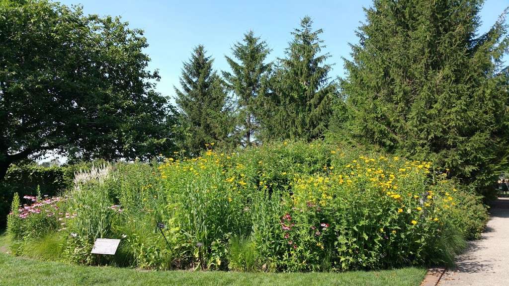 Native Plant Garden | Northbrook, IL 60062, USA