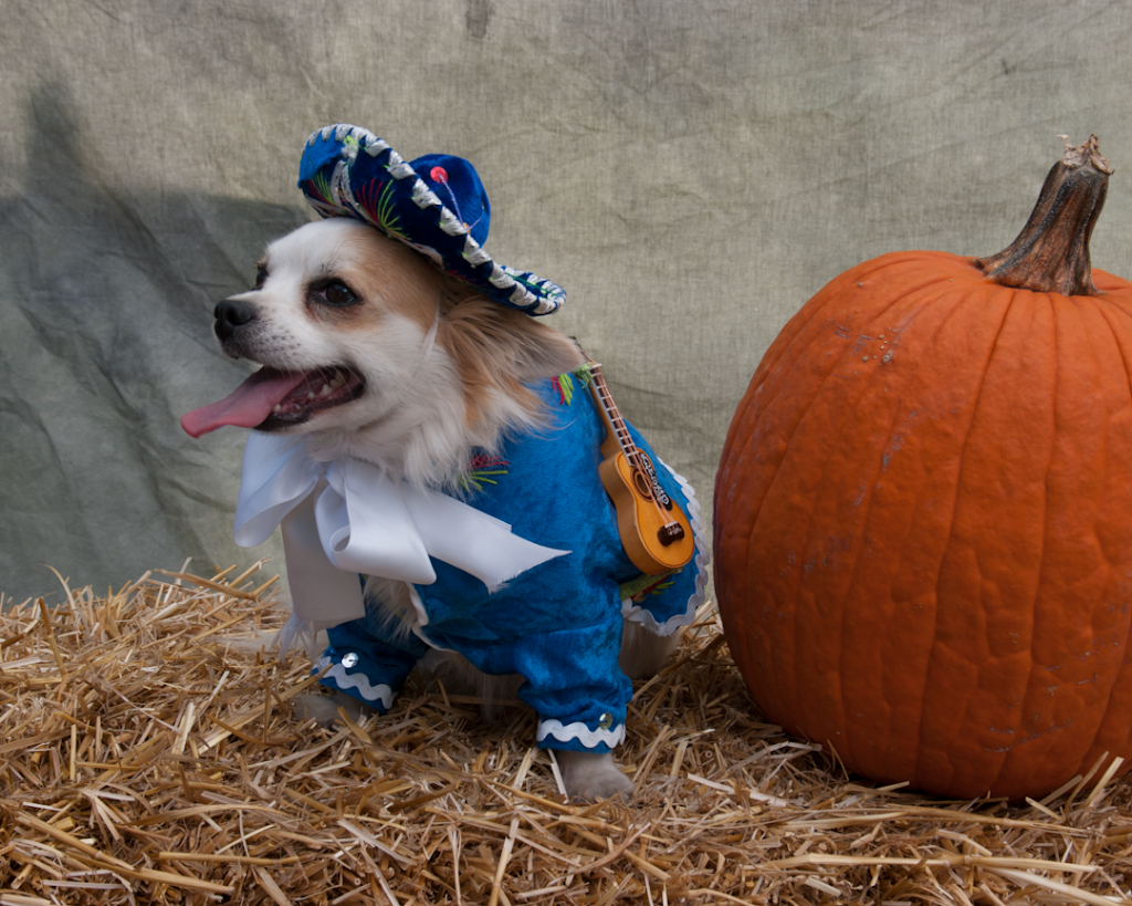 Foshay Photographers | 2324 W Memphis Pl, Broken Arrow, OK 74012, USA | Phone: (918) 384-9422