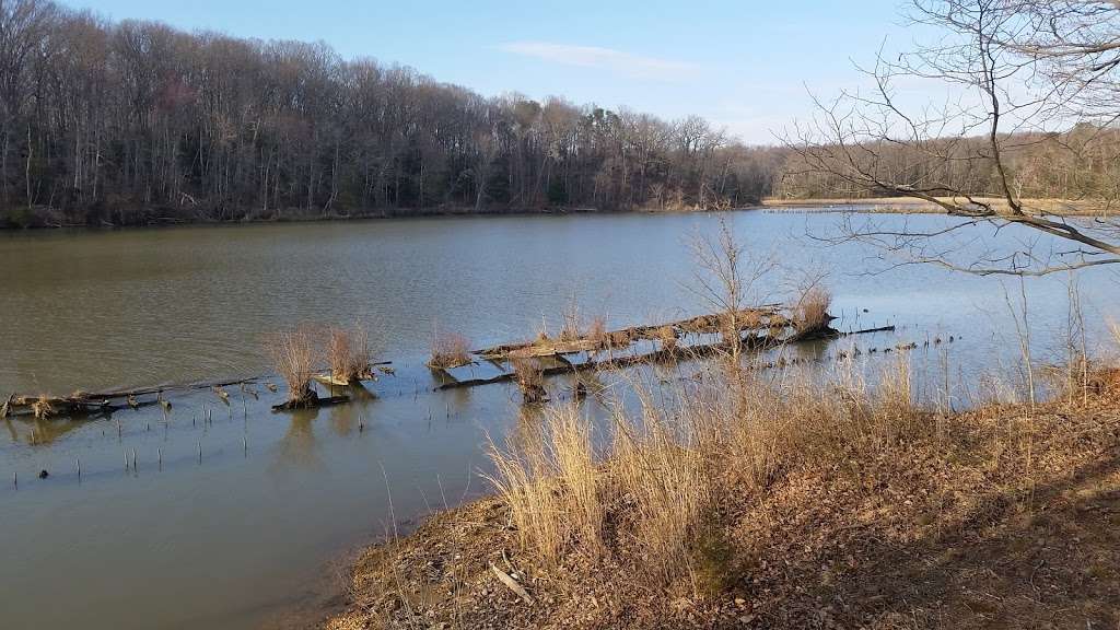 Mallows Bay Park | Nanjemoy, MD 20662, USA