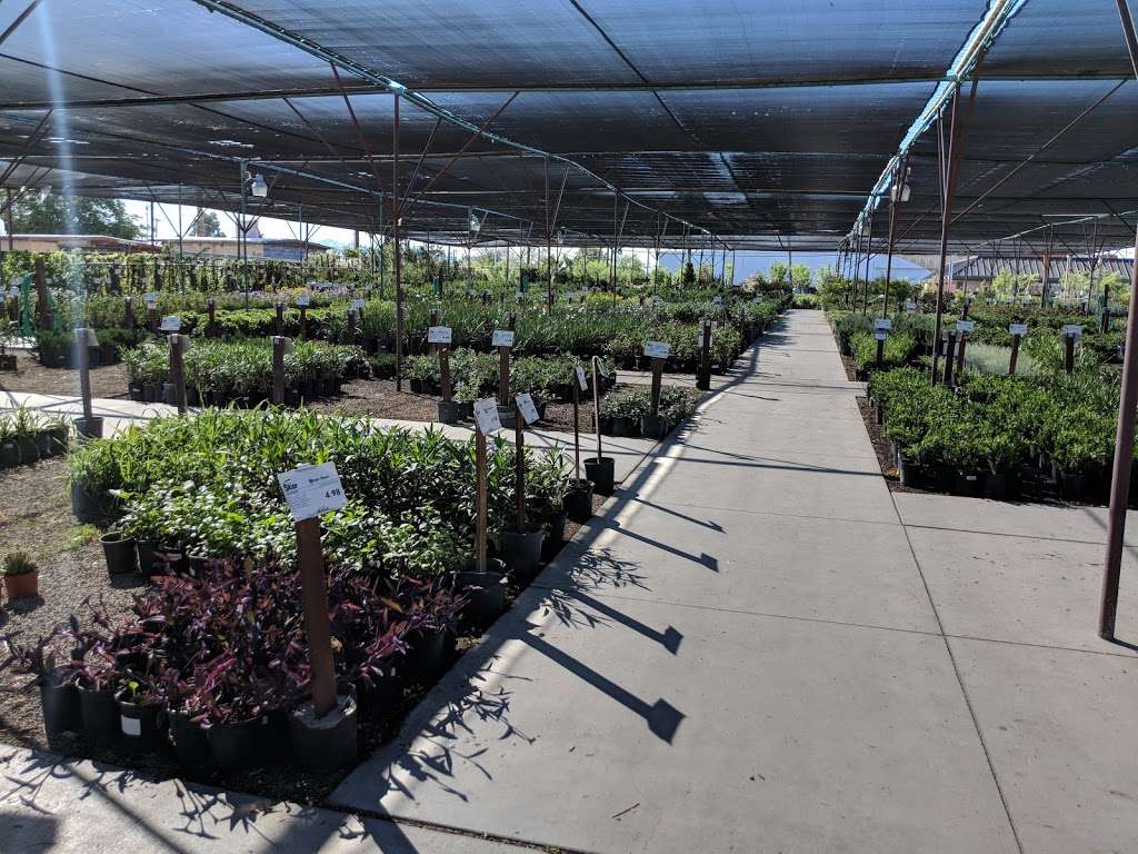 Star Nursery Inc | 6008, 5340 Boulder Hwy, Las Vegas, NV 89122 | Phone: (702) 435-7827