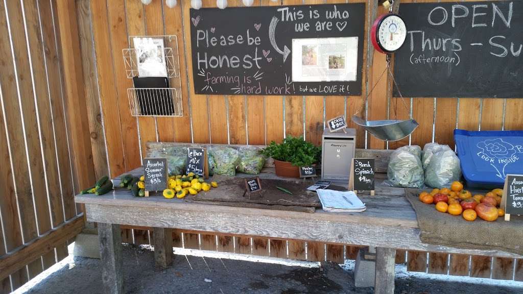 Little Wing Farm Stand | Point Reyes Station, CA 94956, USA
