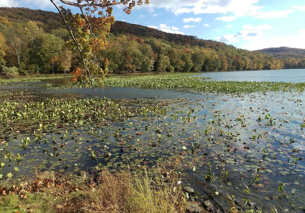 Rockland Lake State Park | 299 Rockland Lake Rd, Valley Cottage, NY 10989, USA | Phone: (845) 268-3020