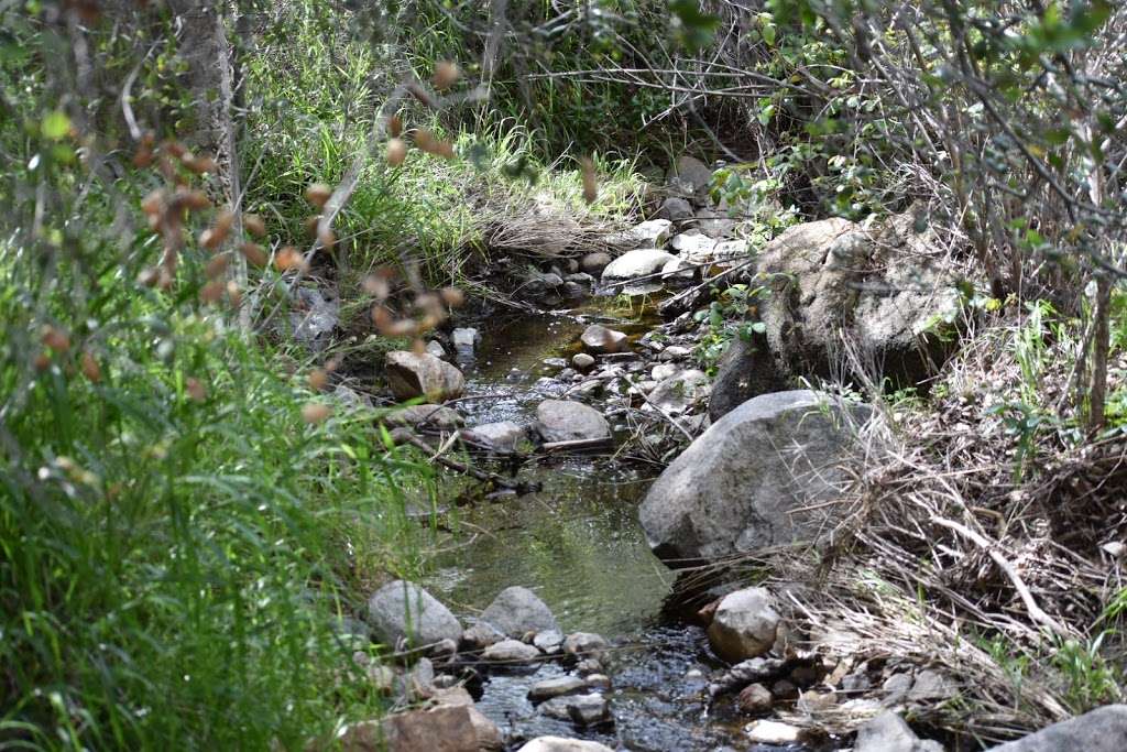 Mission Trails Regional Park Visitor Center | 1 Father Junipero Serra Trail, San Diego, CA 92119 | Phone: (619) 668-3281