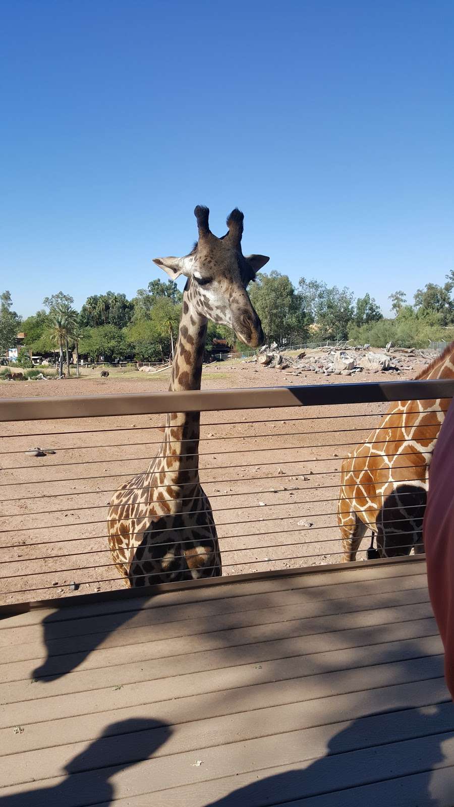 The Phoenix Zoo | Phoenix, AZ 85008, USA