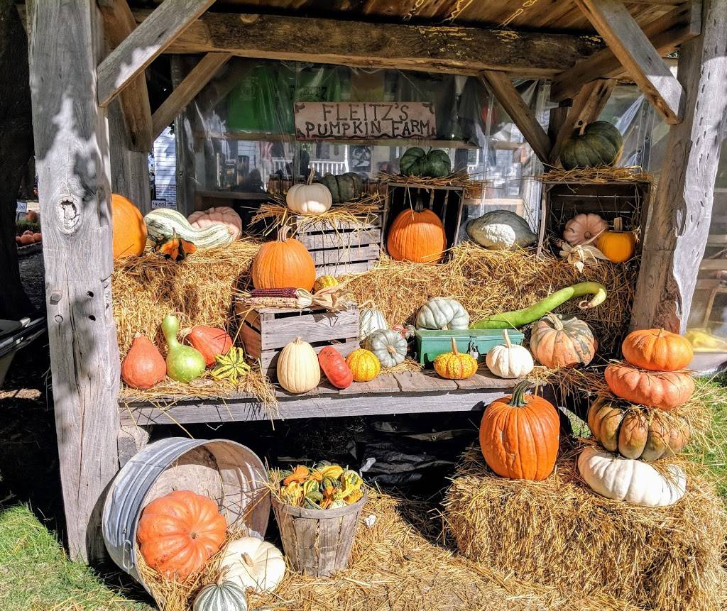 Fleitz Pumpkin Farm | 7133 Seaman Rd, Oregon, OH 43616, USA | Phone: (419) 836-7613