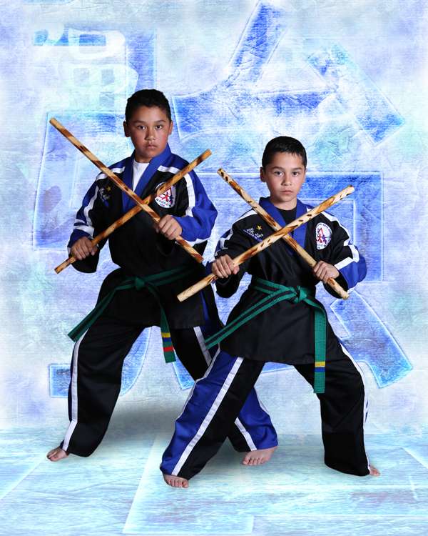 Family Martial Arts Center LLC | 320 Tesconi Cir D, Santa Rosa, CA 95401, USA | Phone: (707) 528-4910