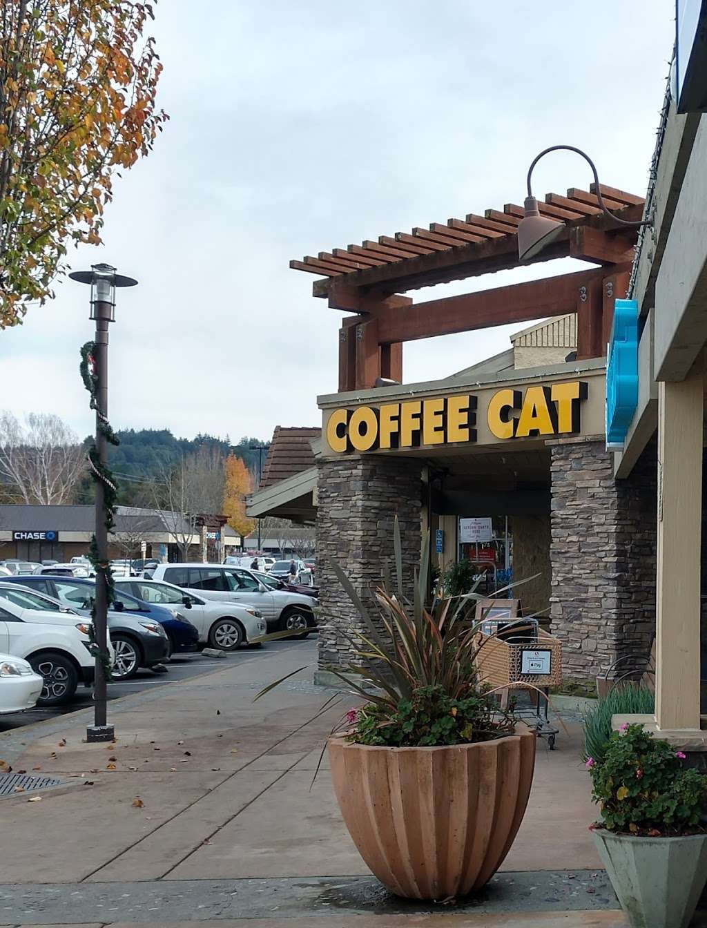 Coffee Cat | 255 Mt Hermon Rd A, Scotts Valley, CA 95066, USA | Phone: (831) 439-0700