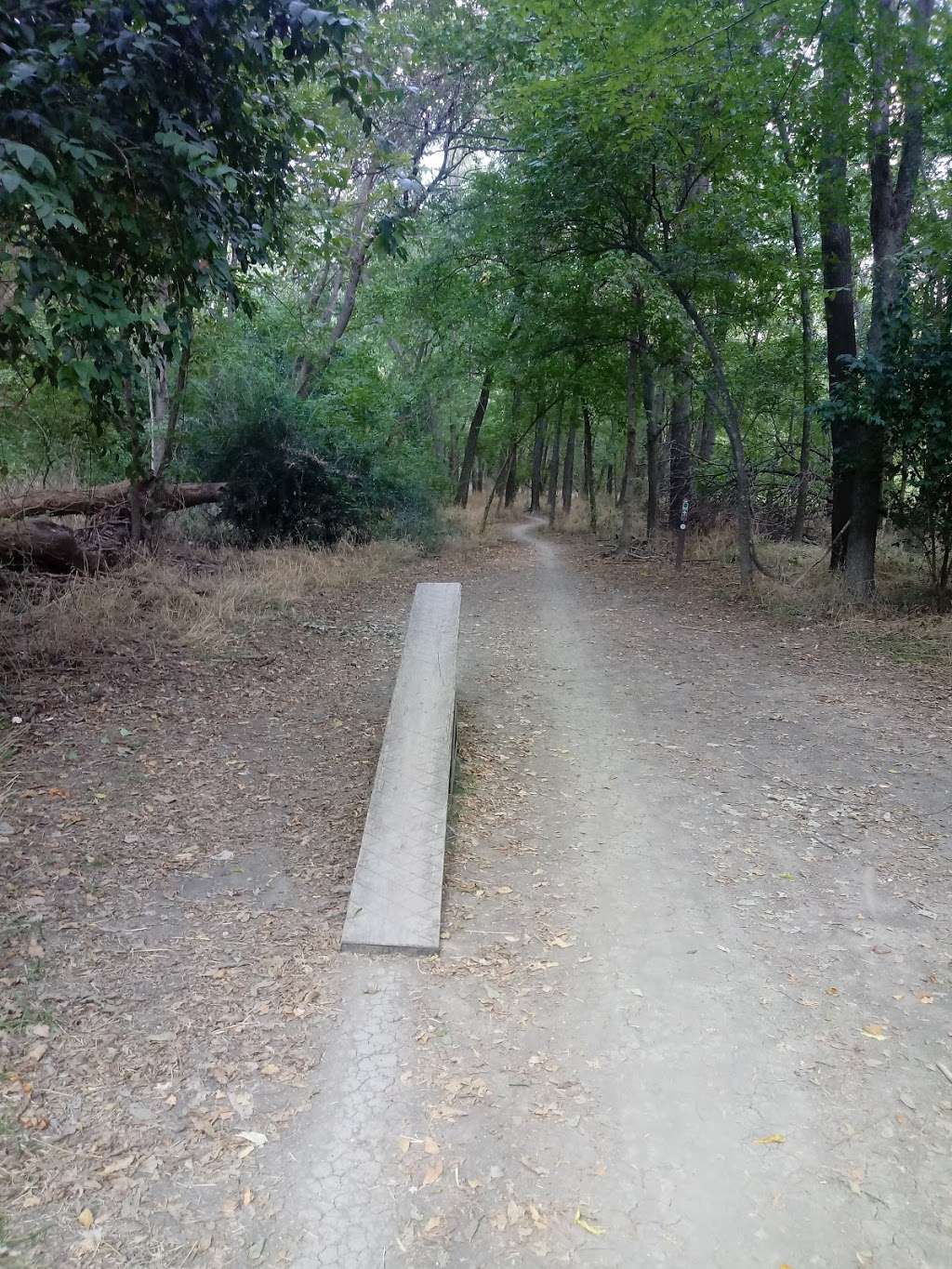 Dorba Trailhead | 1800 Lakeview Pkwy, Rowlett, TX 75088, USA