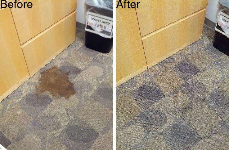 Champion Carpet & Wood Services | 2389 Verna Ct, San Leandro, CA 94577, USA | Phone: (510) 352-5200