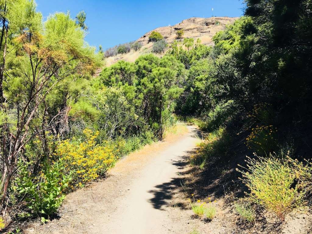 Backbone Trail Trailhead - Yerba Buena Parking Lot | Backbone Trail, Malibu, CA 90265, USA