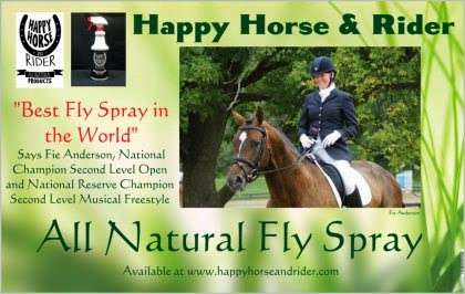 Happy Horse & Rider | 177 Old Boston Rd, Wilton, CT 06897, USA | Phone: (203) 762-2851