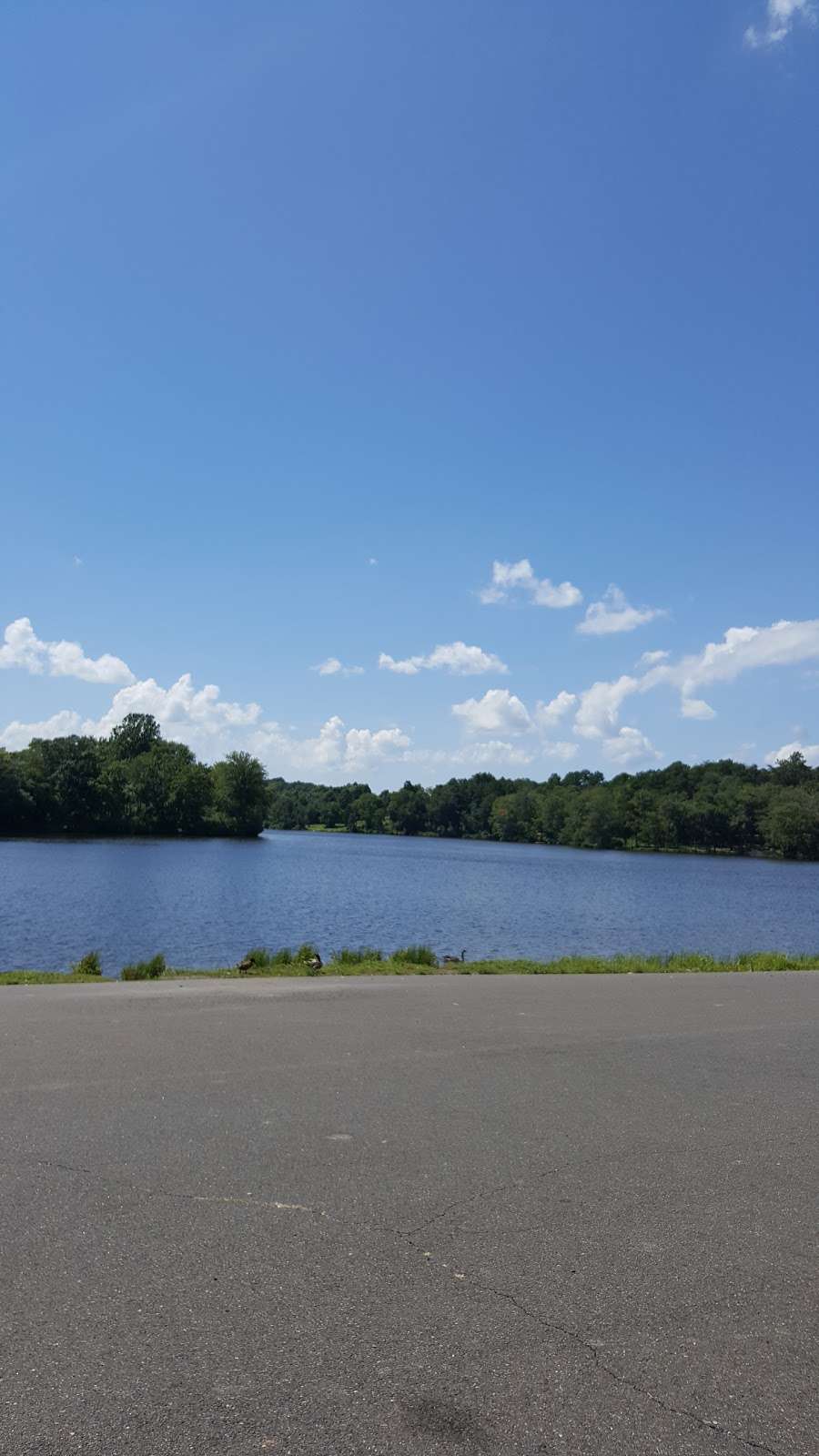 Mountain Run Lake Park | J B Carpenter Jr Dr, Culpeper, VA 22701 | Phone: (540) 829-8260