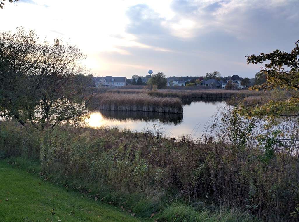 Wedgewood Subdivision Wetlands 42°13'25.0"N 88°21'26., 2nd Ct