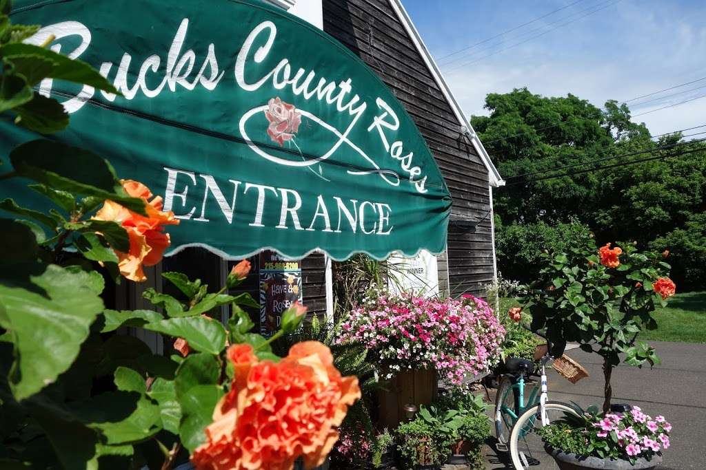 Bucks County Roses | 1235 Buck Rd, Holland Located- Zip Code Southampton, Southampton, PA 18966, USA | Phone: (215) 968-6200