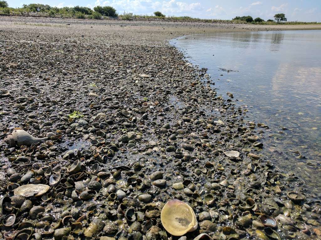 Cockenoe Island | Westport, CT 06880, USA