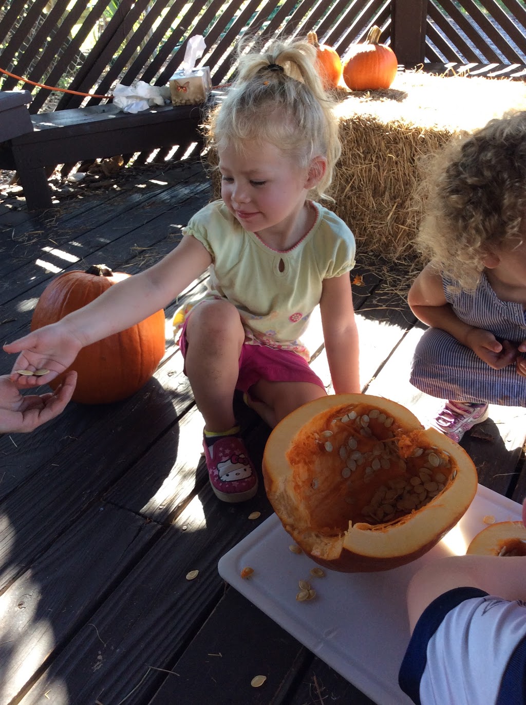 First Discoveries Academy | 1311 Brooker Rd, Brandon, FL 33511, USA | Phone: (813) 662-9290