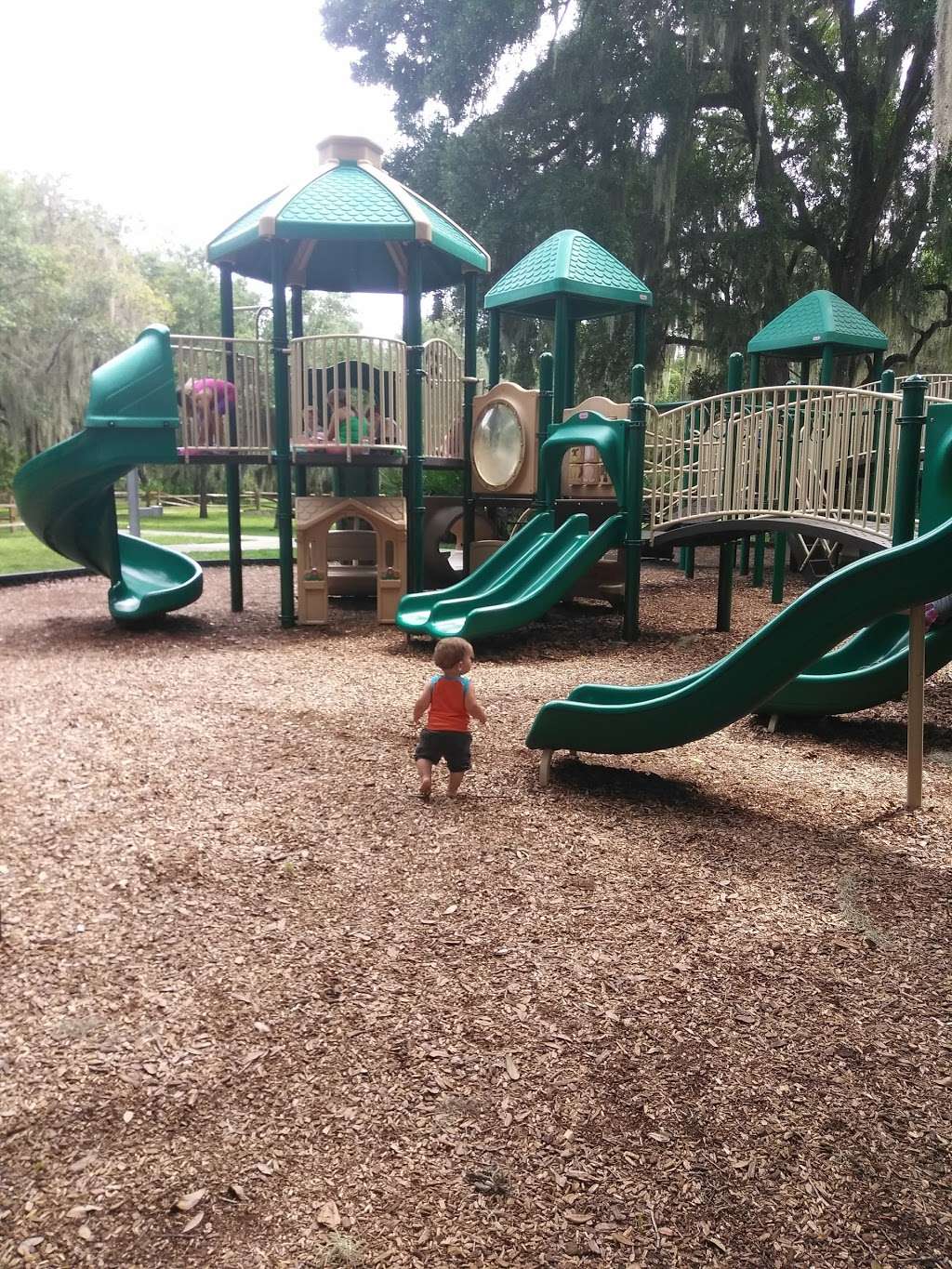 Trimble Park | 5802 Trimble Park Rd, Mt Dora, FL 32757, USA | Phone: (407) 254-1982