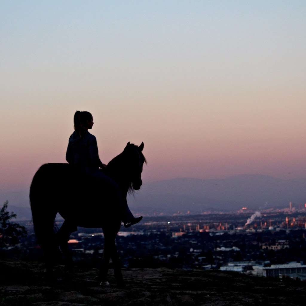 Palos Verdes Riding Academy | Palos Verdes, 4057 Vía Opata, Palos Verdes Estates, CA 90274 | Phone: (310) 528-8645