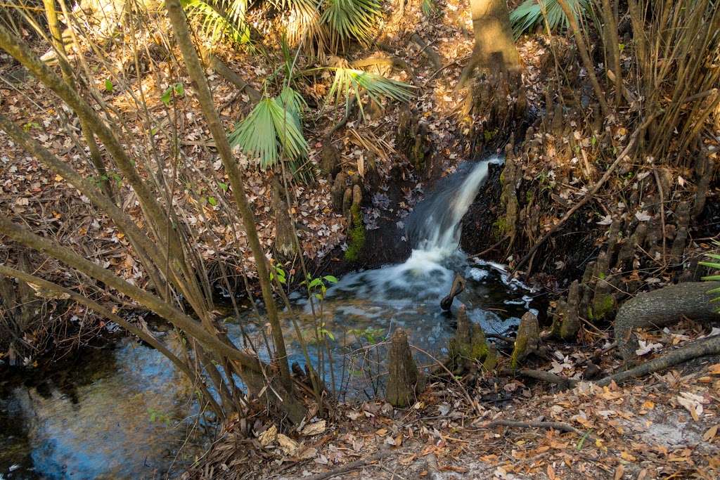 Boonie Falls | Oviedo, FL 32765, USA