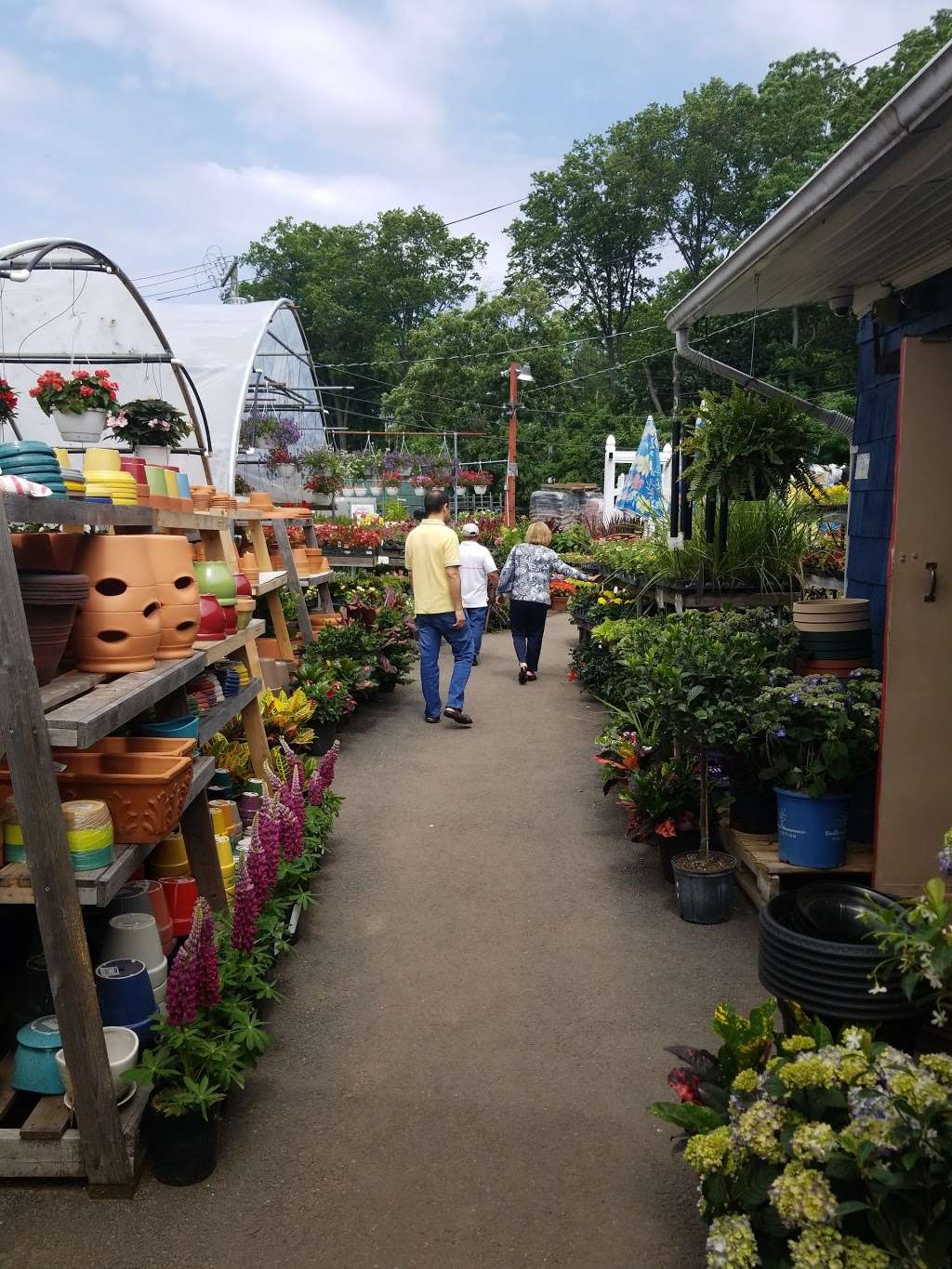 L S Garden Mart | 84 Horace Harding Blvd, Great Neck, NY 11020